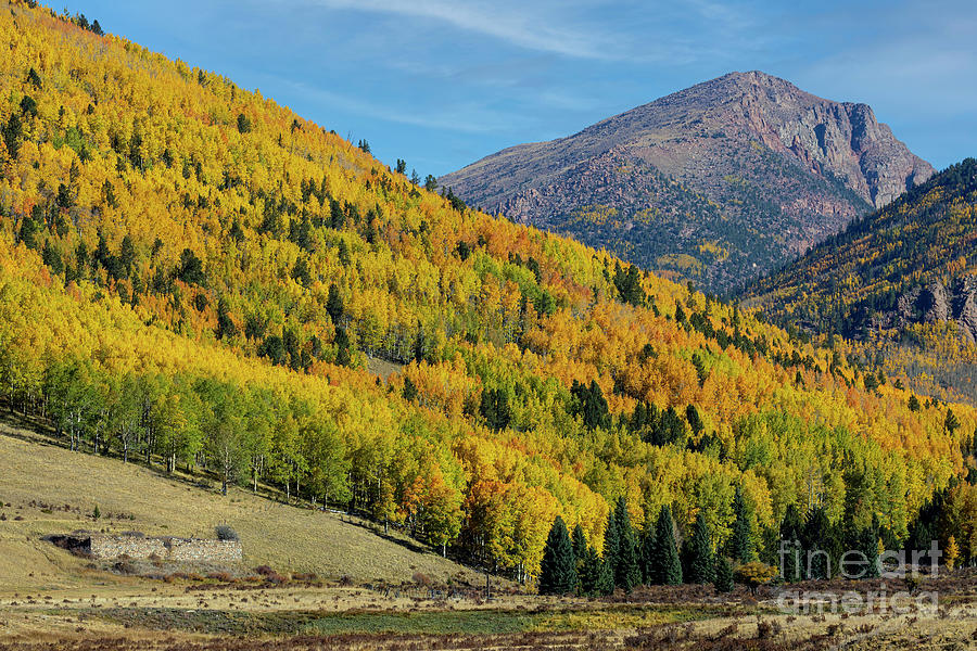 Magnificent Autumn Peak Photograph by Steven Krull
