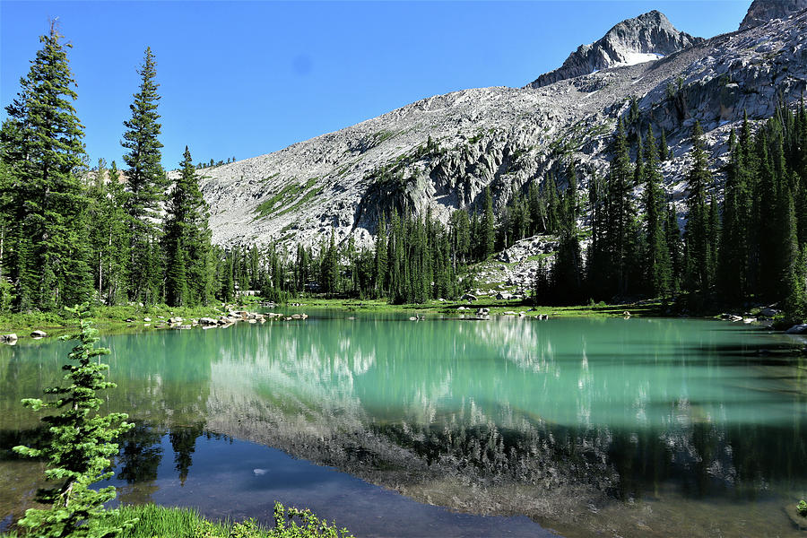 Magnificent Colors Of Idaho Photograph By Dan Dixon 