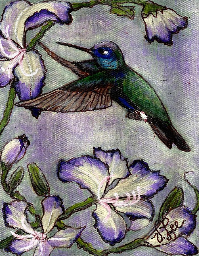 Magnificent Hummingbird---Costa Rica Painting by VLee Watson