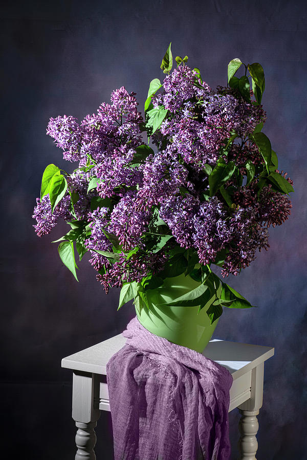 Magnificent Lilac Still Life  Photograph by Lily Malor