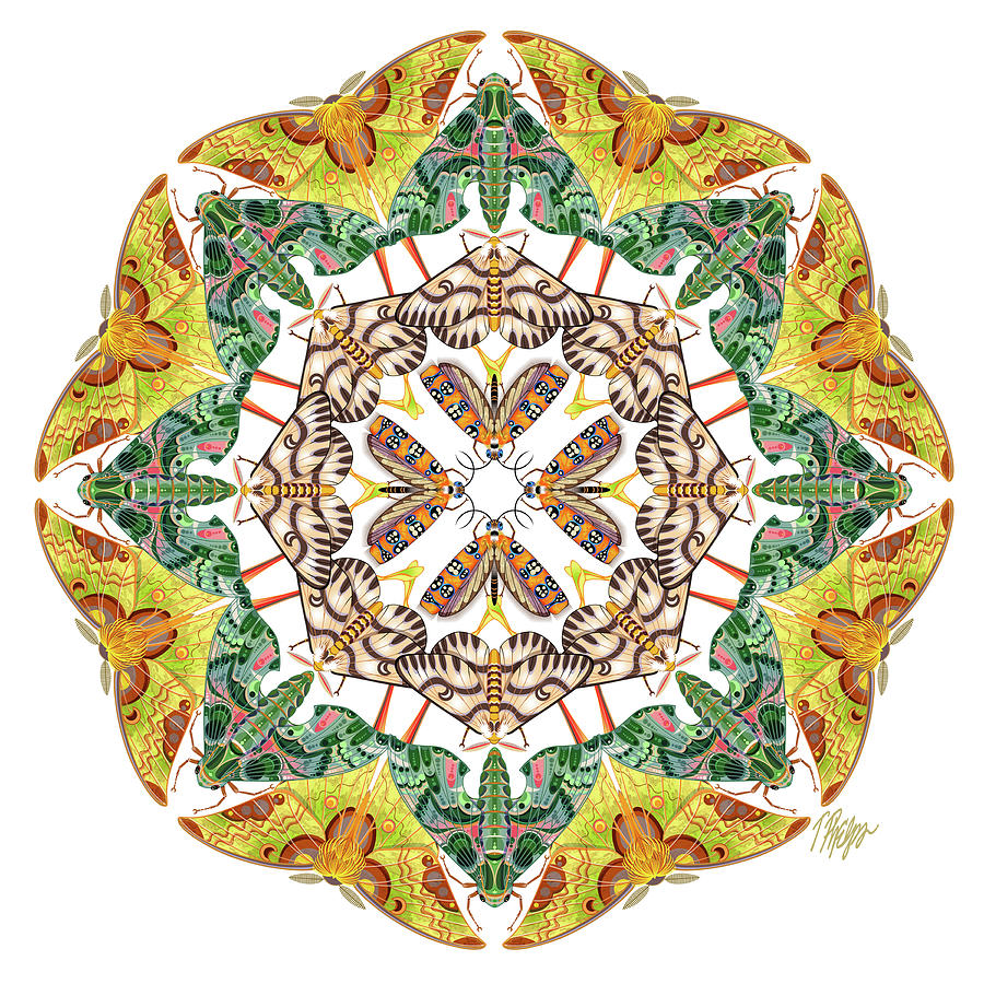 Magnificent Many Moth Mandala Digital Art by Tim Phelps