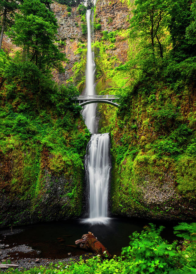 Magnificent Multnomah Falls in Oregon USA Photograph by Vishwanath Bhat