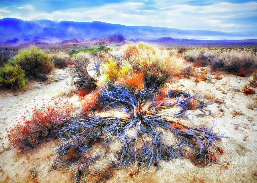 Landscape Photograph - Magnificent Scenic California Desert Sage Brush by Jerry Cowart