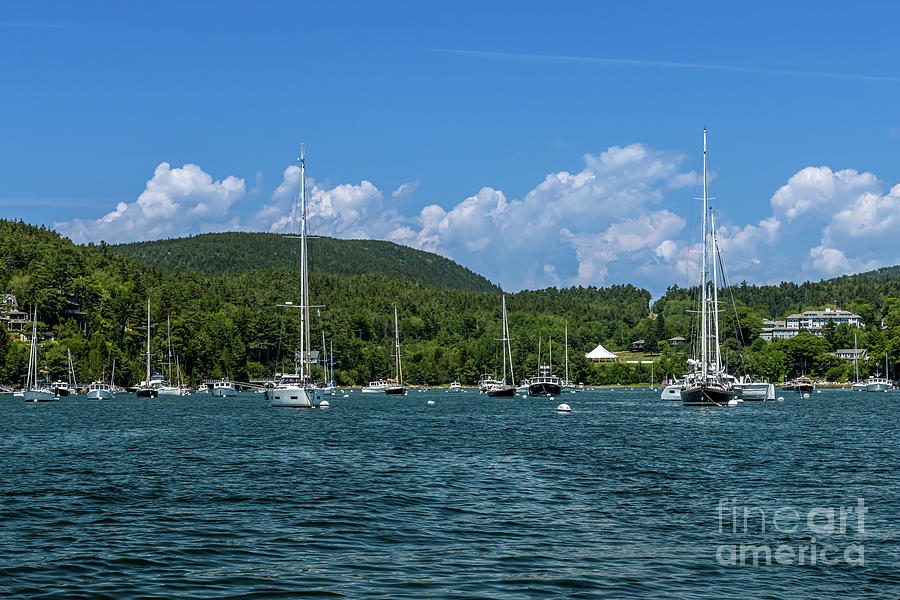 Magnificent Yachts of Northeast Harbor Maine Photograph by Elizabeth Dow