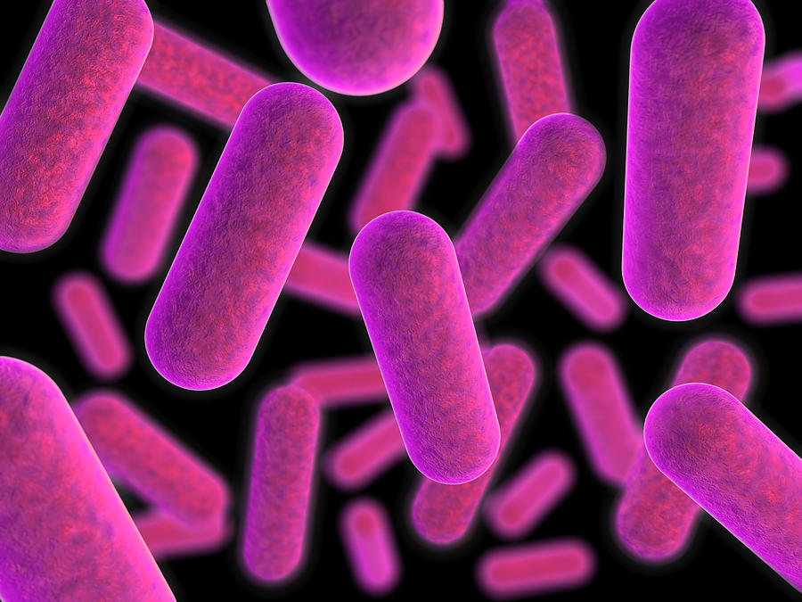 Magnified view of purple tinted bacteria Photograph by Cdascher