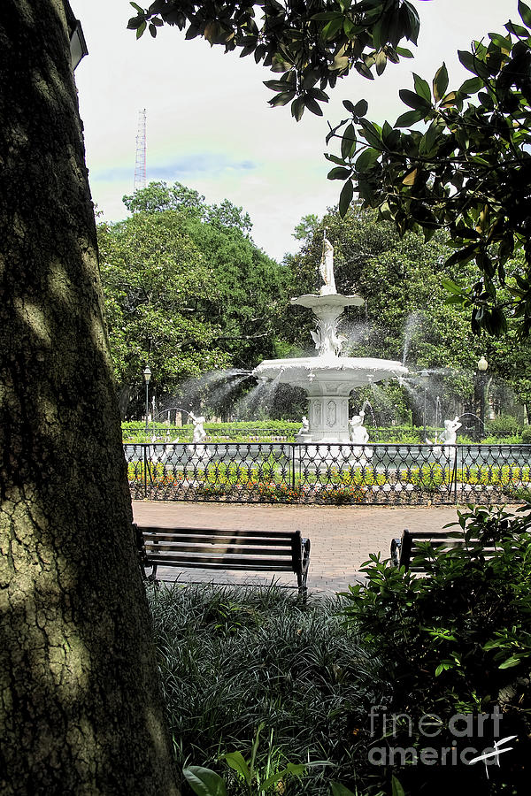 Magnolia and Forsyth Park Fountain Photograph by Theresa Fairchild