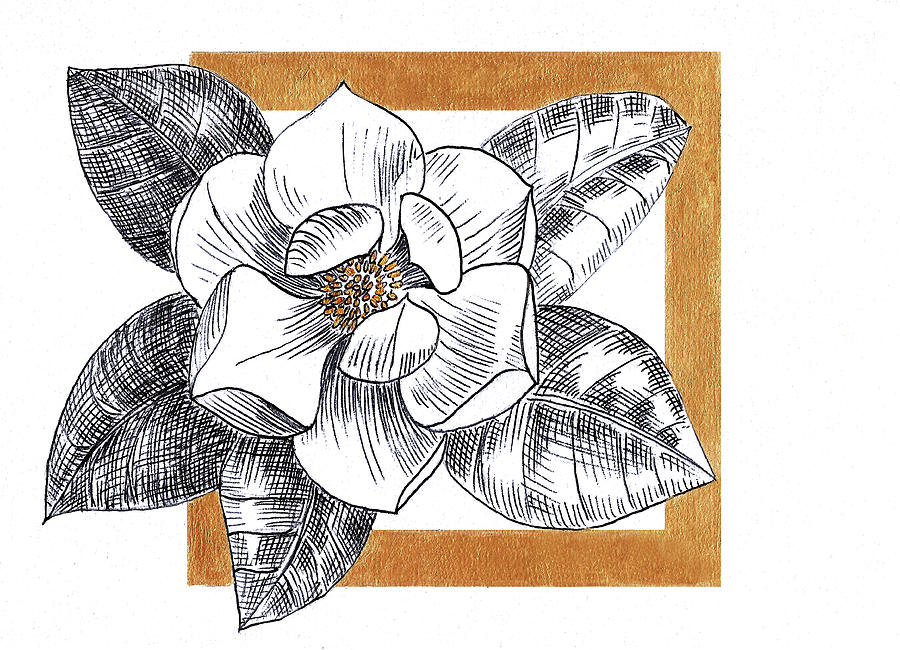 Magnolia and Gold Drawing by Masha Batkova