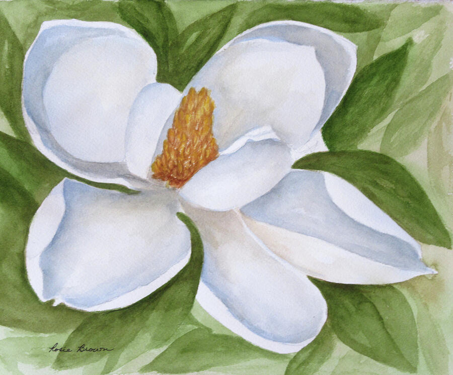 Magnolia Bloom Painting by Rosie Brown - Fine Art America