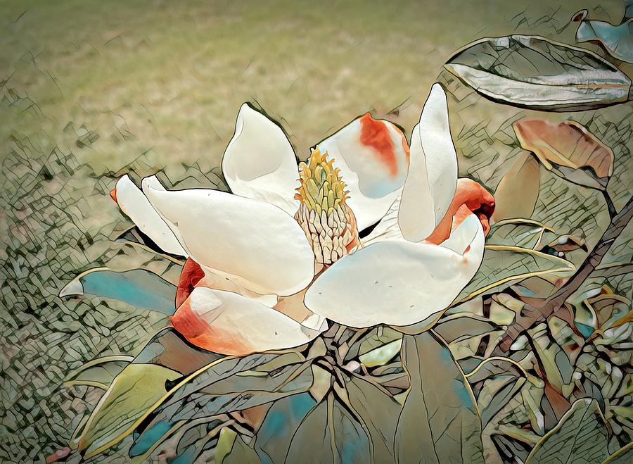 Magnolia Blossom as a Sketch Photograph by Bill Swartwout