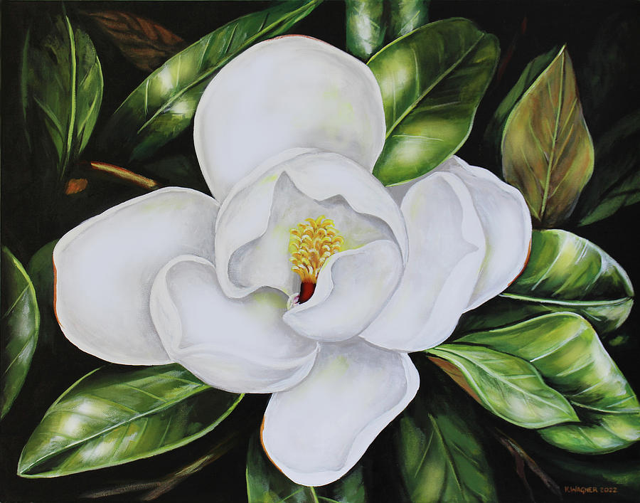 Magnolia Blossom Painting by Karl Wagner