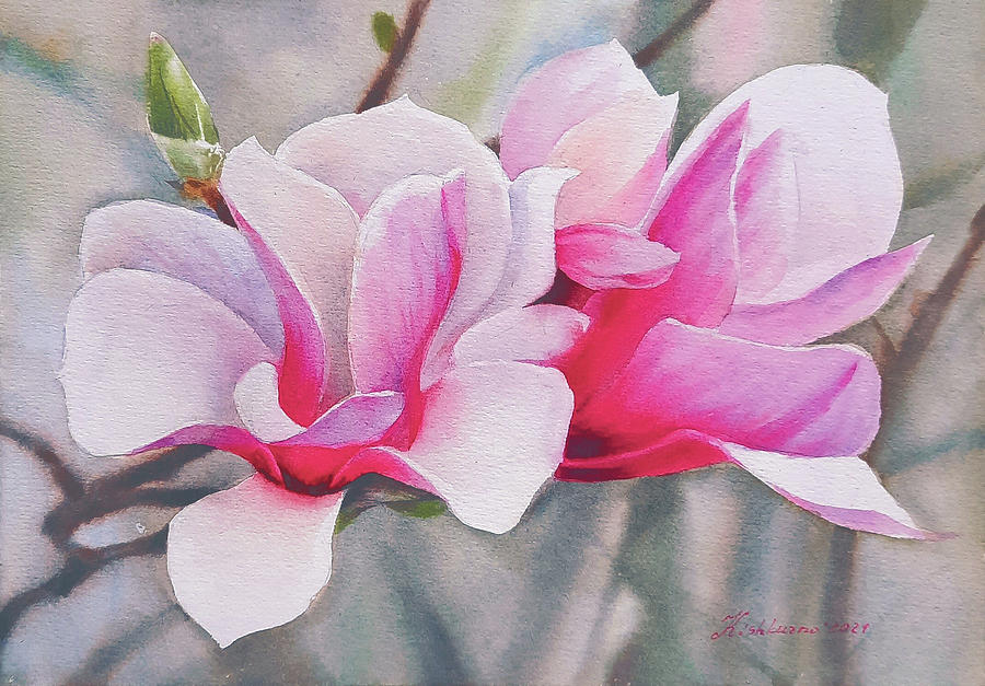 Magnolia Movie Painting - Magnolia Blossom by Olena Kishkurno