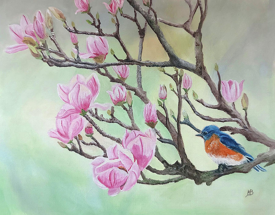 Magnolia Movie Painting - Magnolia Blossoms by Wildlife and Nature