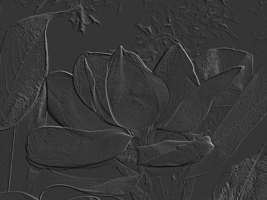 Magnolia Closeup Embossed Grayscale Photograph by Mike McBrayer