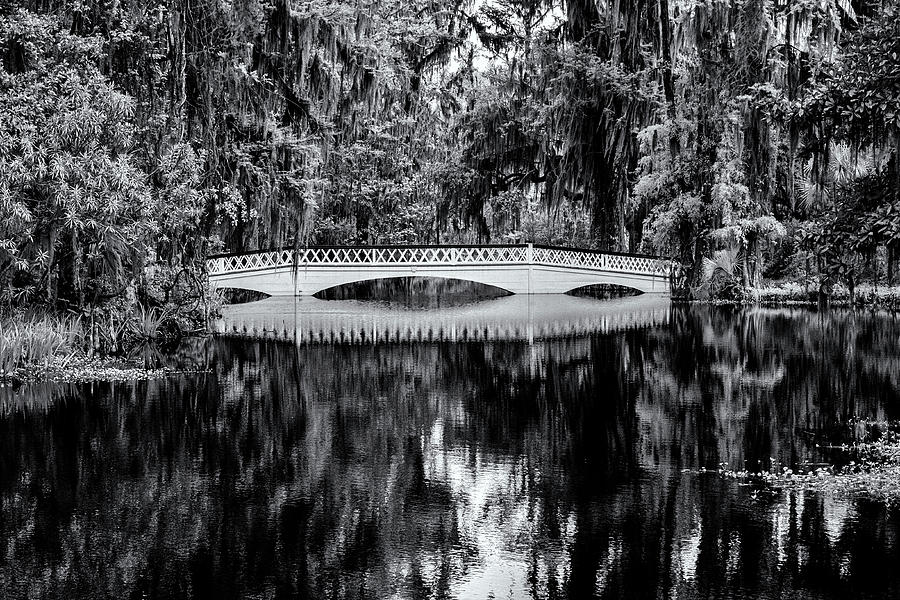 Magnolia Garden Bridge Photograph by Tom Singleton