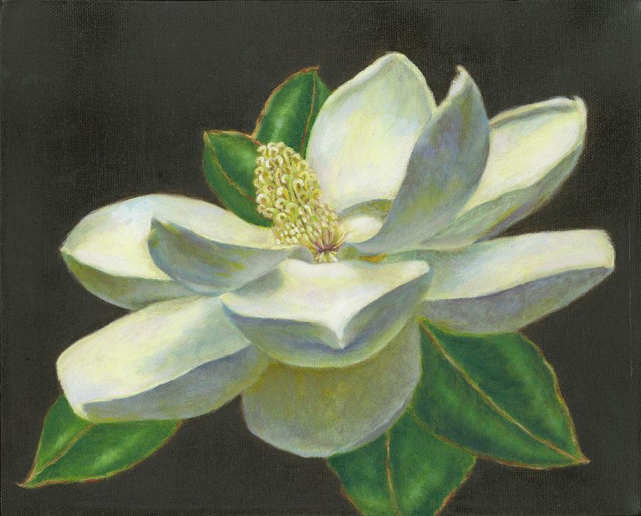 Magnolia Grandiflora Painting by Lori Wallace Lloyd - Fine Art America