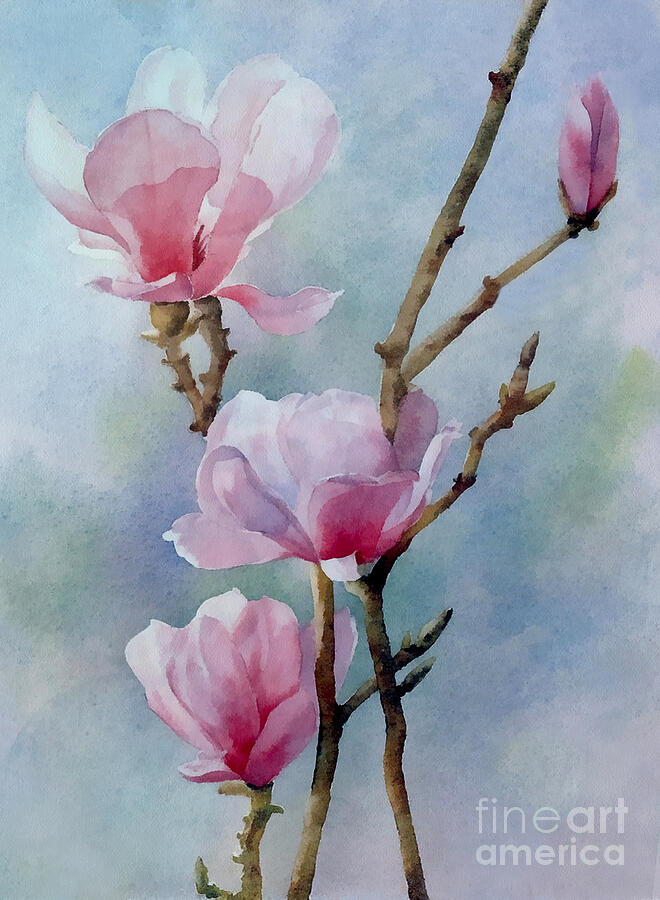 Magnolia Digital Art by Jerzy Czyz