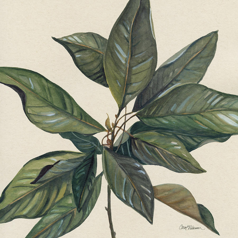 Magnolia Leaves 1 Painting by Carol Robinson