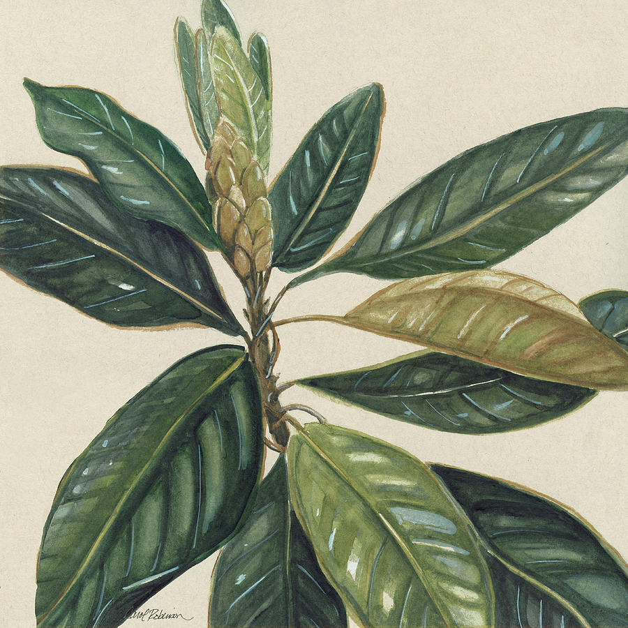 Magnolia Leaves 2 Painting by Carol Robinson - Fine Art America