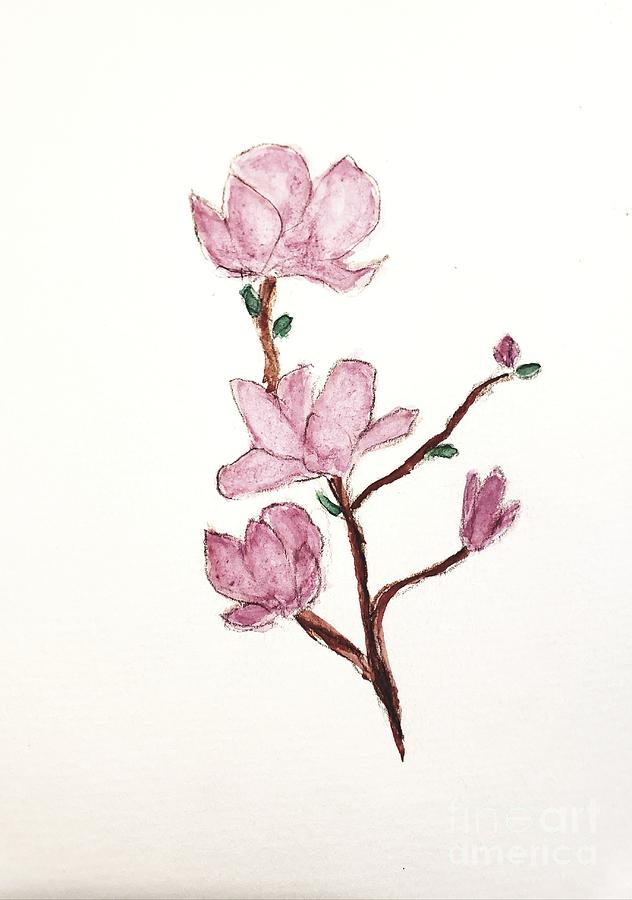 Magnolia  Painting by Margaret Welsh Willowsilk