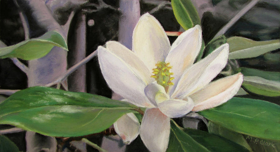 Magnolia Pastel by MaryJo Clark