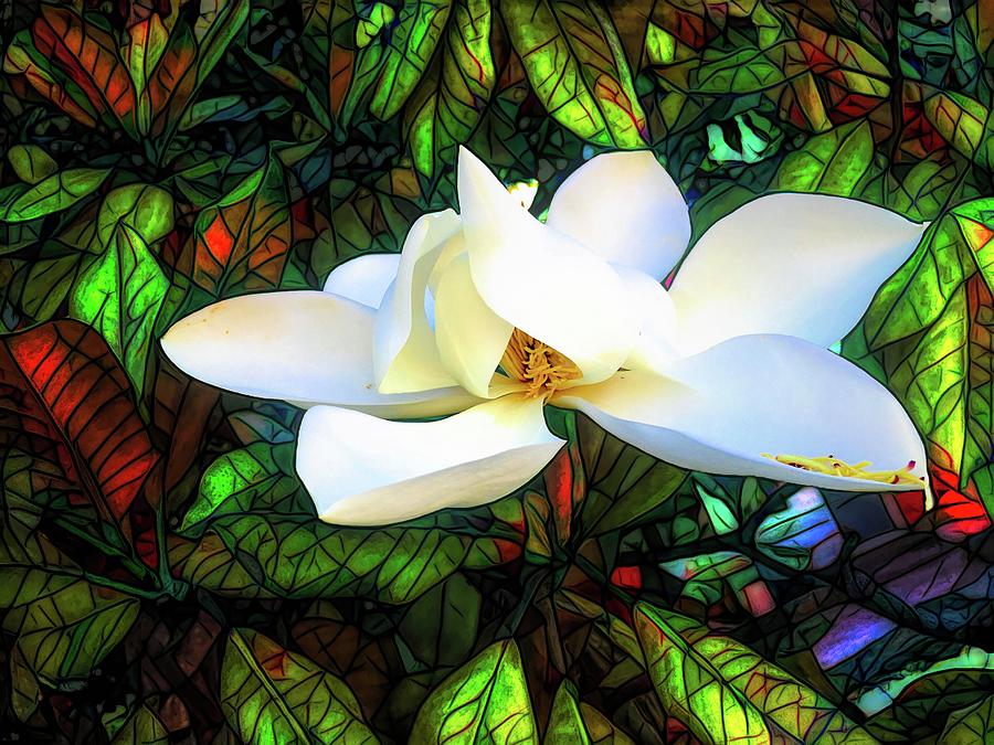Magnolia Mosaic Photograph
