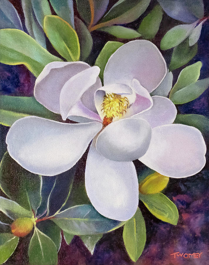 Magnolia on Bobbys Tree Painting by Catherine Twomey