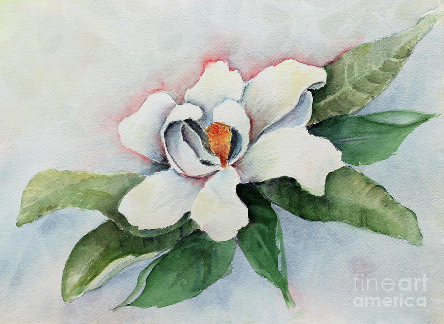 Magnolia Painting by Pattie Calfy