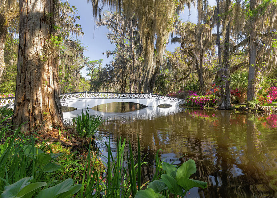 Magnolia Plantation and Gardens White Bridge Landscape Photograph by Donnie Whitaker