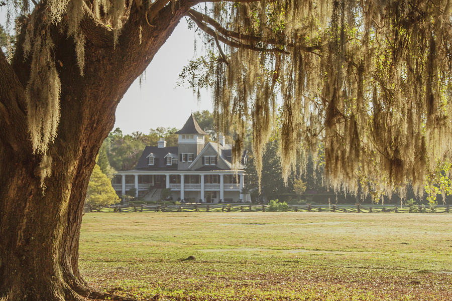 Magnolia Plantation House 2 Photograph by Cindy Robinson