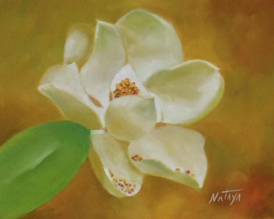 Magnolia Song Pastel by Nataya Crow