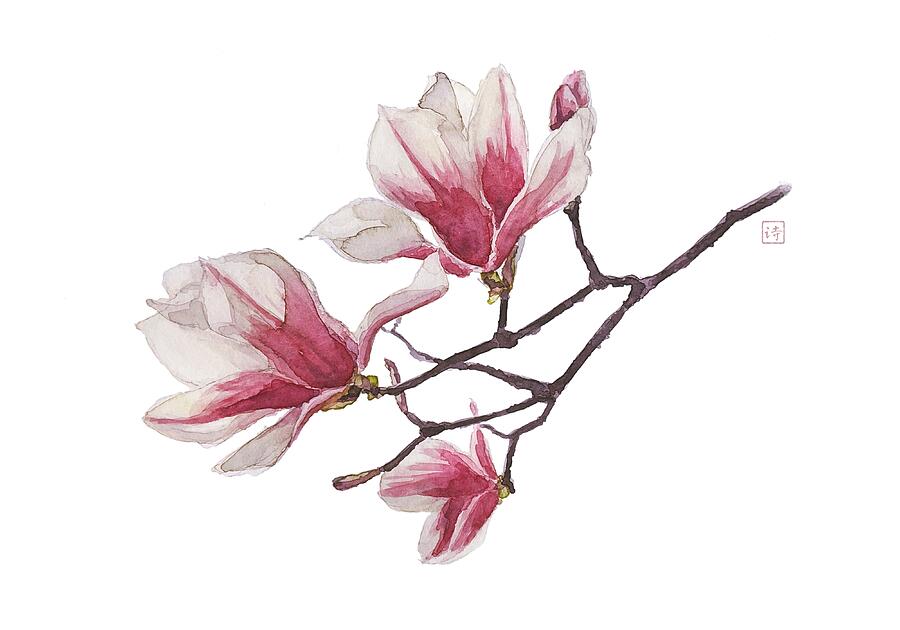 Magnolia Painting by Van Thi Diep Magnolia Painting by Van Thi Diep
