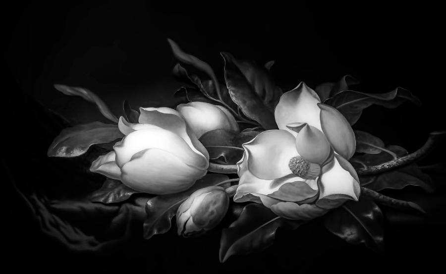 Magnolias by Martin Johnson Heade Photograph by Carlos Diaz