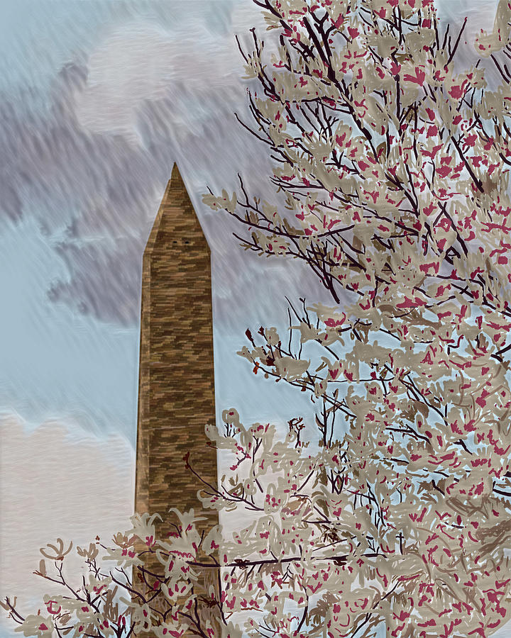 Magnolias In Bloom In Washington Dc Digital Art