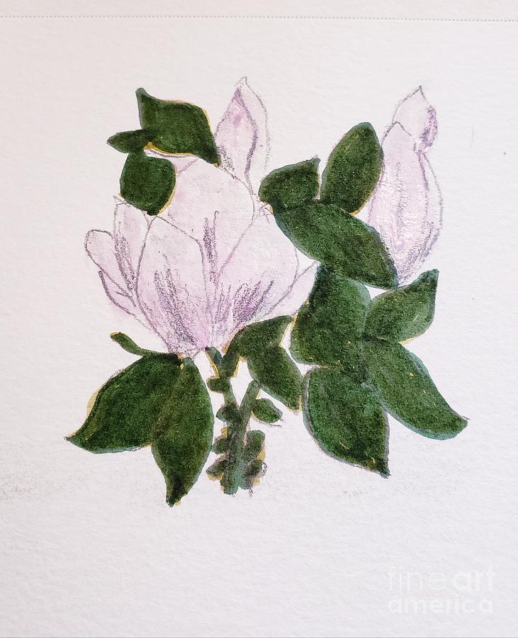 Magnolias Painting by Margaret Welsh Willowsilk