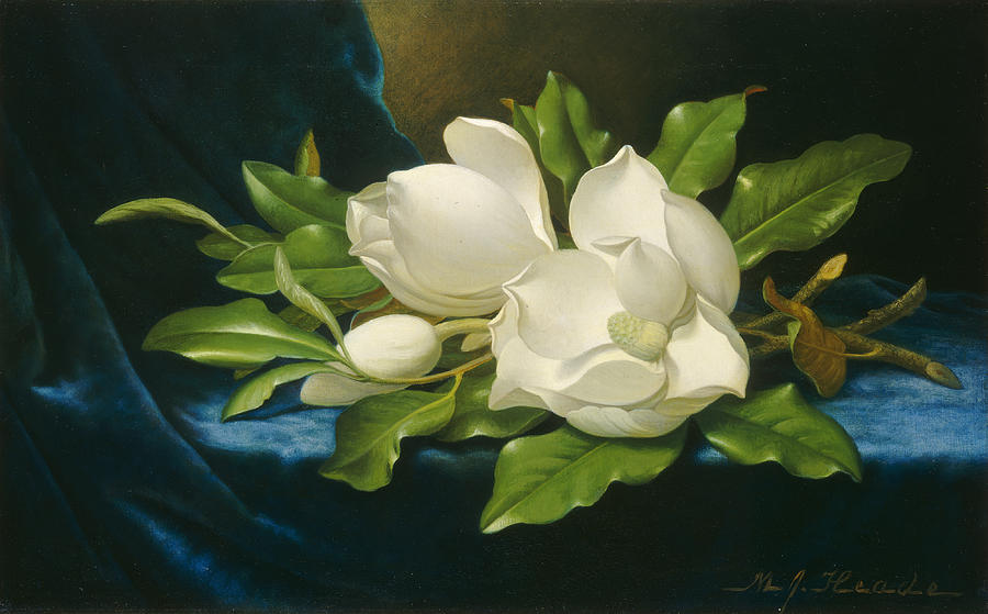 Magnolias On Blue Velvet Painting