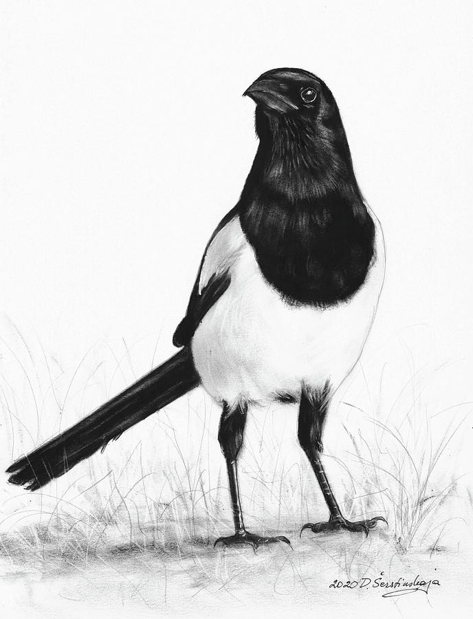Magpie Painting