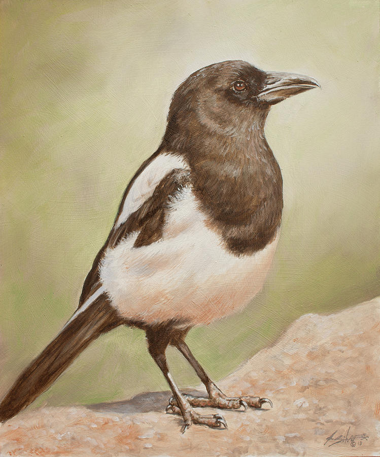 Magpie I Portrait Painting by John Silver