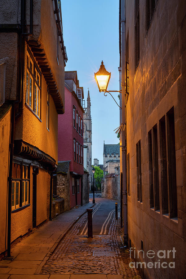 Magpie Lane at Dawn Photograph by Tim Gainey