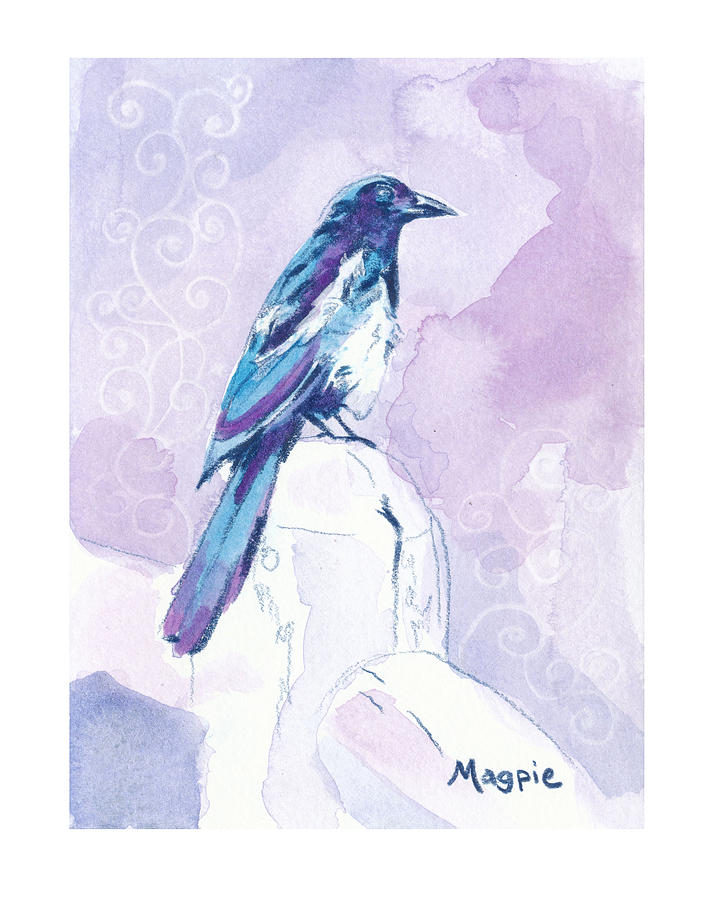 Magpie Zooly 2019 Drawing
