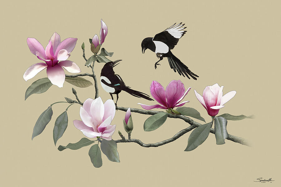 Magpies and Pink Magnolia Digital Art by M Spadecaller