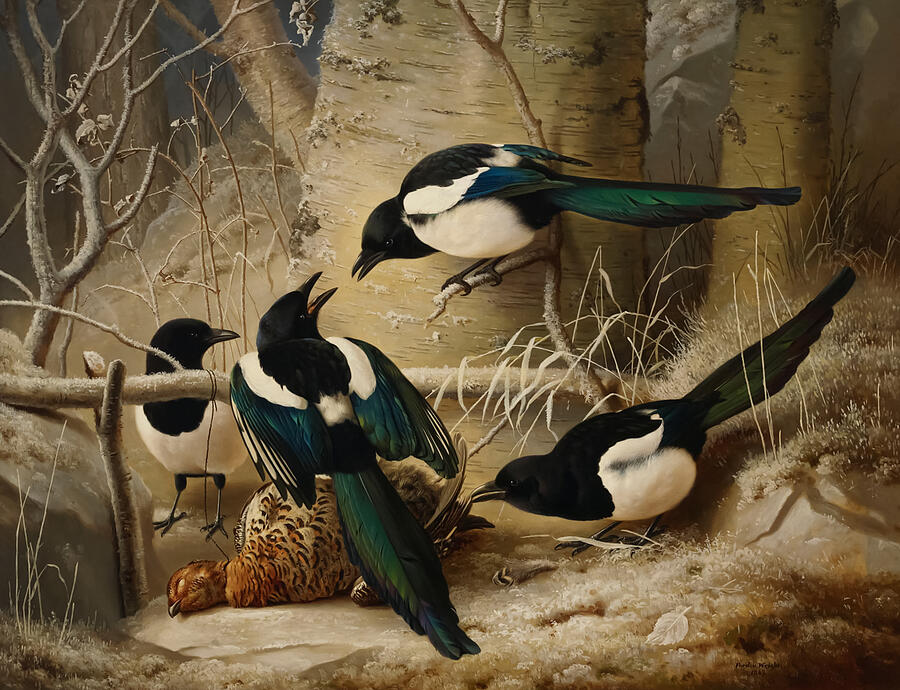 Magpies Painting - Magpies round a Dead Woodgrouse by Ferdinand von Wright