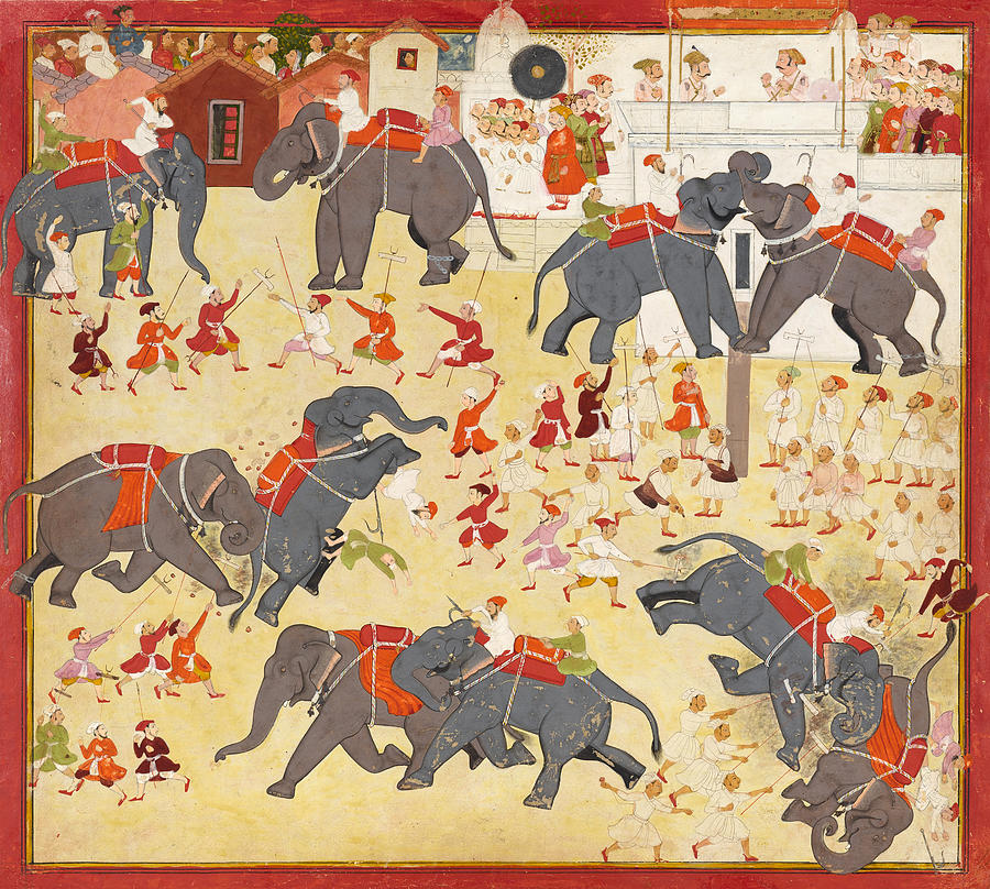 Maharana Raj Singh observing an elephant fight Painting by Anonymous