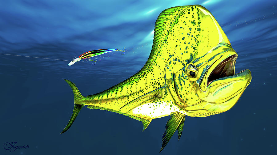 Mahi Mahi And Lure Mixed Media By Paul Kyriakides - Fine Art America