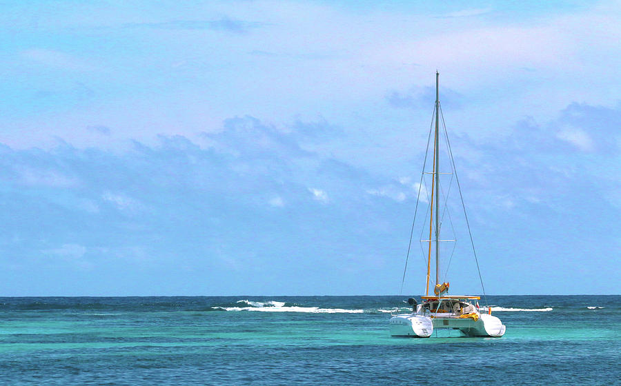 Maho Bay Catamaran - St. Maarten Photograph by Ron Berezuk