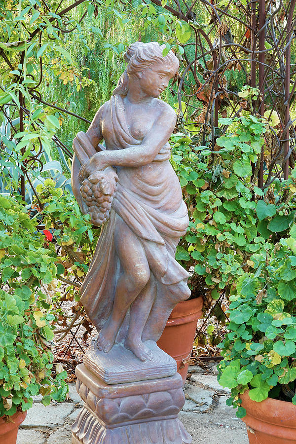 Maiden in the garden Photograph by Ram Vasudev
