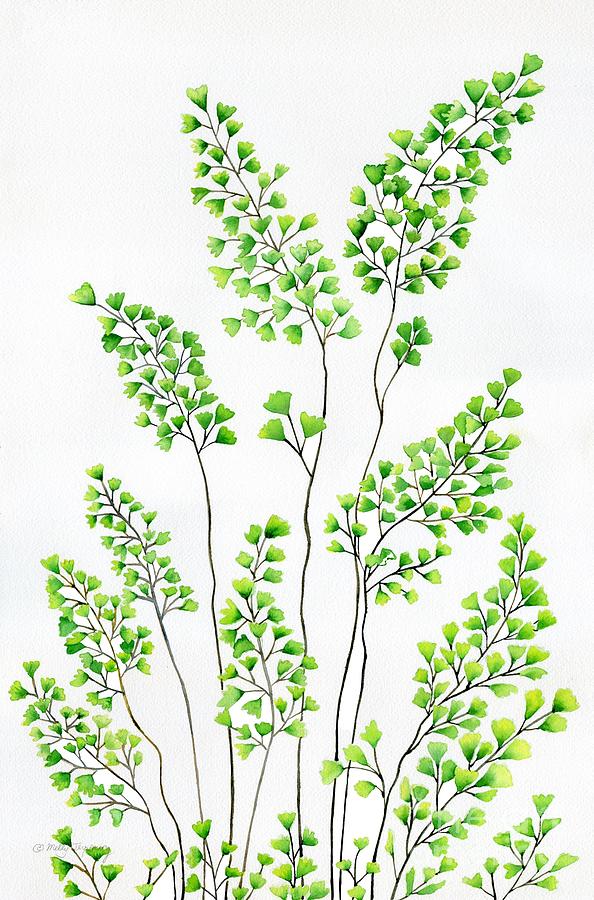 Maidenhair Fern 3 Painting by Melly Terpening