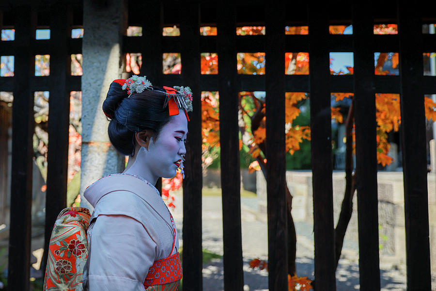 Maiko walks the streets of Kyoto  Photograph by Gualtiero Boffi