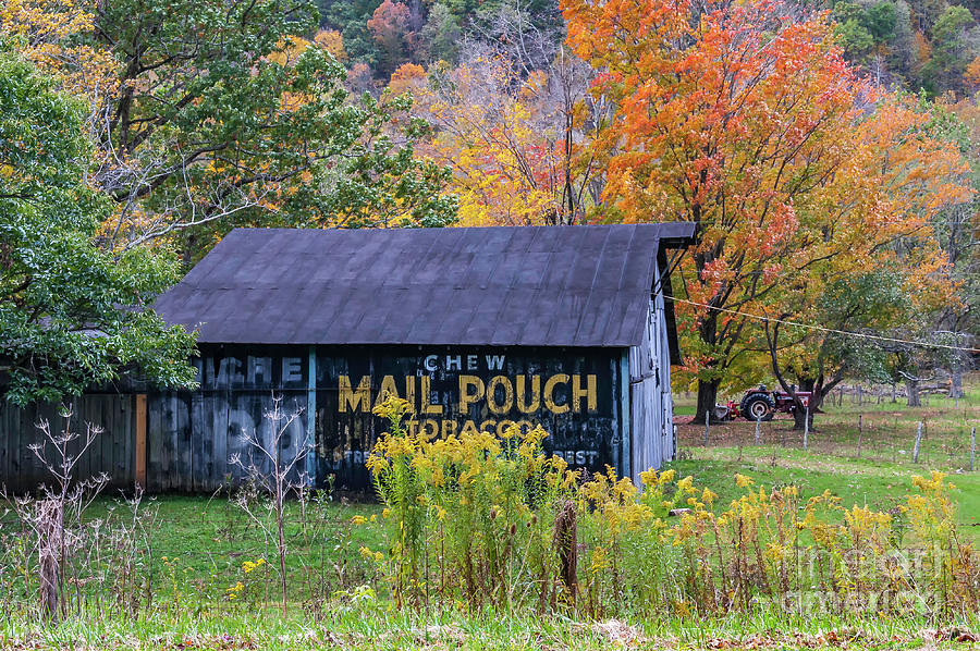 Mail Pouch barn WV Fall Photograph by Kathleen K Parker