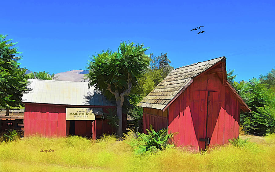 Mail Pouch Little Red Barn Sisquoc California Digital Art by Floyd ...