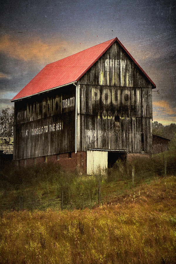  Mail Pouch Tobacco Barn Photograph by Deborah Penland